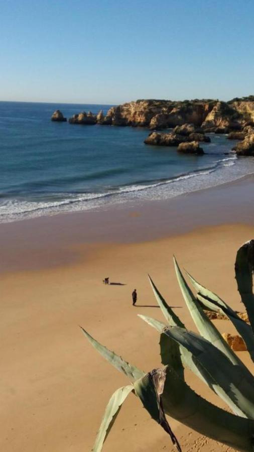 פורטימאו Apartamentos Praia Da Rocha Alex&Mila Vista Mar מראה חיצוני תמונה